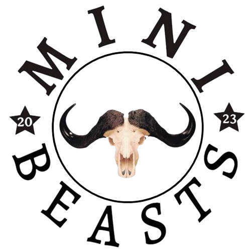 Logo 1_Mini_Beast_Final-removebg-preview