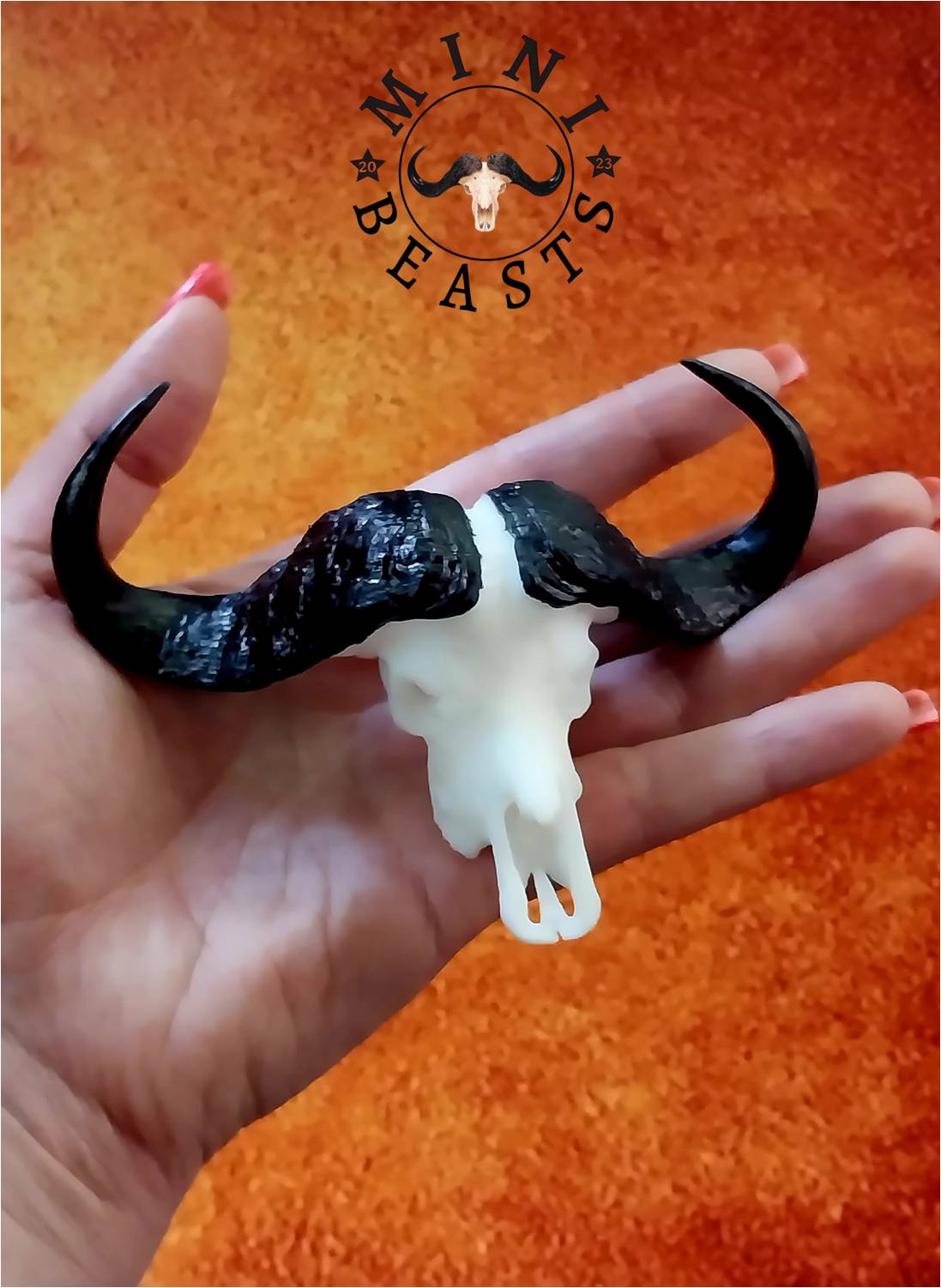 WhatsApp Image 2023-11-07 at 22.17.59